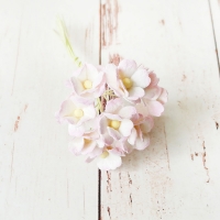 Цветы вишни Бело-розовые (средние), 10шт.