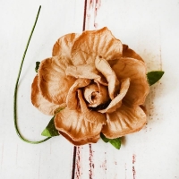 Роза Светло-коричневая (4,5см) 1шт